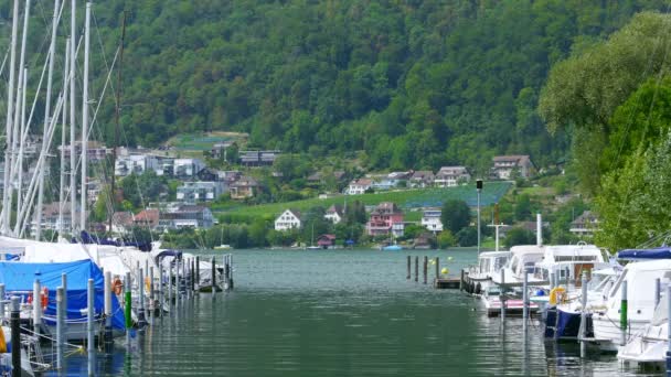 Svájci tóra és a hegyekre — Stock videók