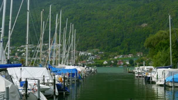 瑞士湖和山 — 图库视频影像