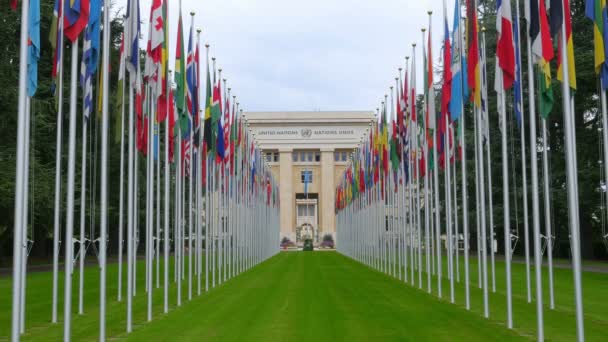 Edifício das Nações Unidas com bandeiras — Vídeo de Stock