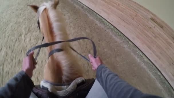 Hombre aprendiendo montar a caballo — Vídeos de Stock