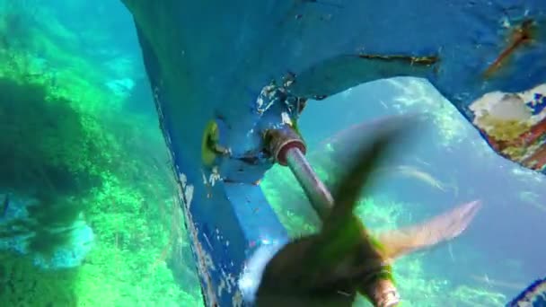Bizarrer Unterwasserblick auf den Azmak River — Stockvideo