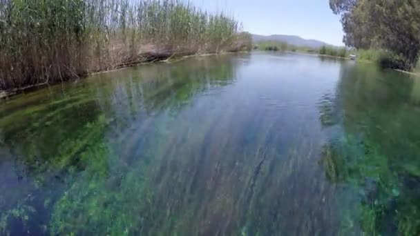 Bizarre onderwater uitzicht op de rivier van de Azmak — Stockvideo