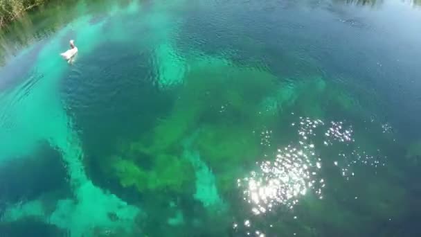 Dziwaczne podwodne widoki na rzekę Azmak — Wideo stockowe
