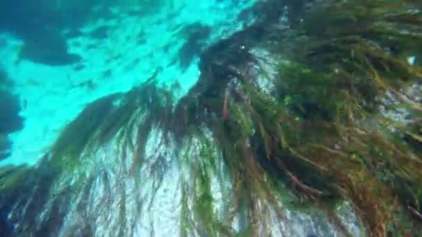 Bizarre onderwater uitzicht op de rivier van de Azmak — Stockvideo