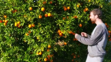 Toplayıcı malzeme çekme turuncu