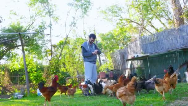 Jordbrukare som utfodrar kycklingar — Stockvideo