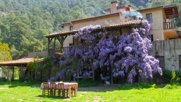 Casa de pueblo y flores — Vídeos de Stock