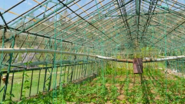 Landwirtschaftlicher Gewächshausgarten — Stockvideo