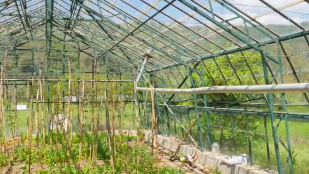 Сельскохозяйственный парниковый сад — стоковое видео