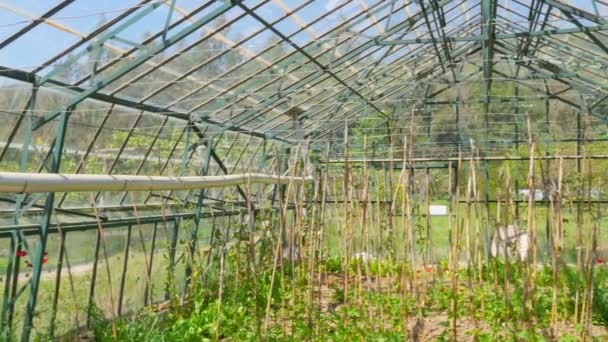 Mezőgazdasági üvegházhatást okozó kert — Stock videók