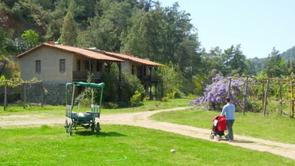 Father pushing baby carriage — Stock Video