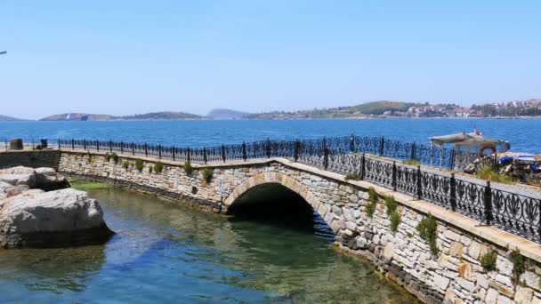 Ponte del castello di Foca — Video Stock