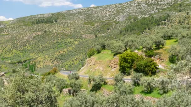 Montagne verte en campagne naturelle — Video