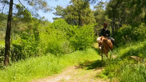 Чоловік вивчає верхи на конях — стокове відео