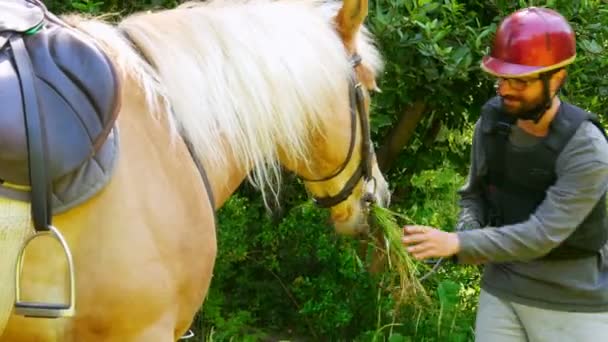 Hombre aprendiendo montar a caballo — Vídeo de stock