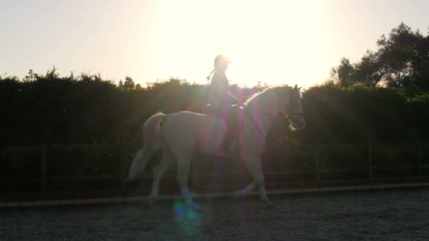 Rider girl on horse show — Stock Video