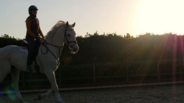 Jezdec dívka na koňské show — Stock video