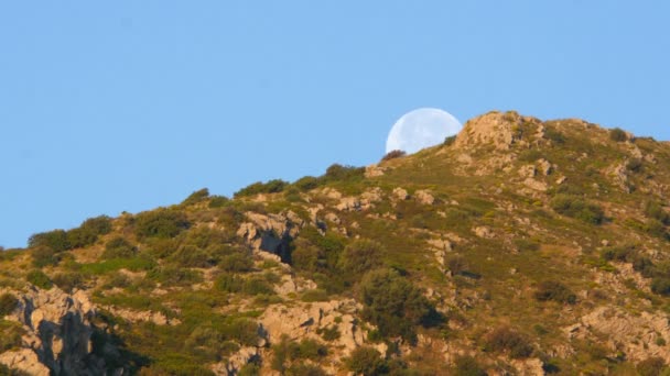 Luna puesta temprano en la mañana — Vídeos de Stock