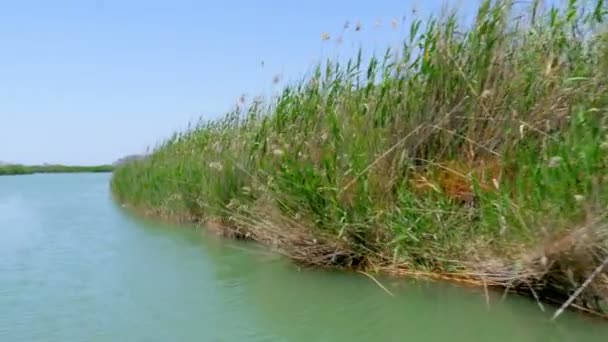 Giro in barca sul fiume in Turchia — Video Stock