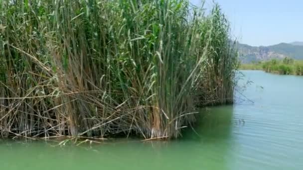 Paseo en barco por el río en Turquía — Vídeo de stock