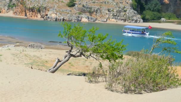 Пляж черепахи Ізузу в Туреччині — стокове відео