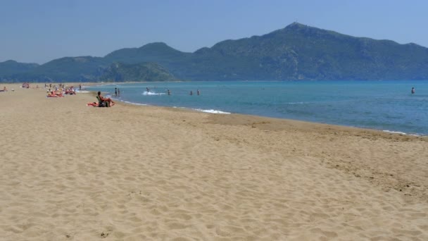 Praia de tartaruga Iztuzu — Vídeo de Stock