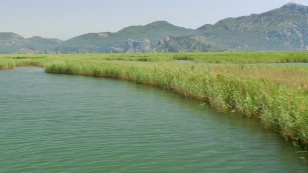 Boat tour on river in Turkey — Stock Video