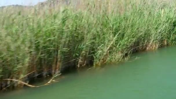 Paseo en barco por el río en Turquía — Vídeos de Stock