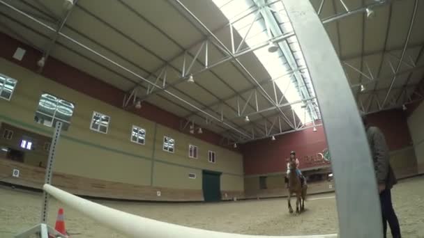 Corso avanzato di equitazione — Video Stock