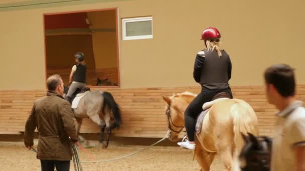 Woman learning horse riding — Stock Video