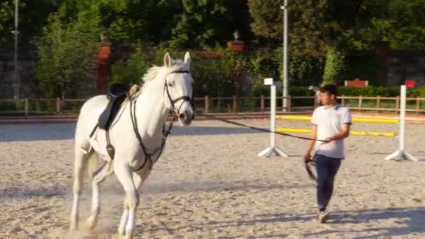 Stableman calentando montar a caballo — Vídeos de Stock