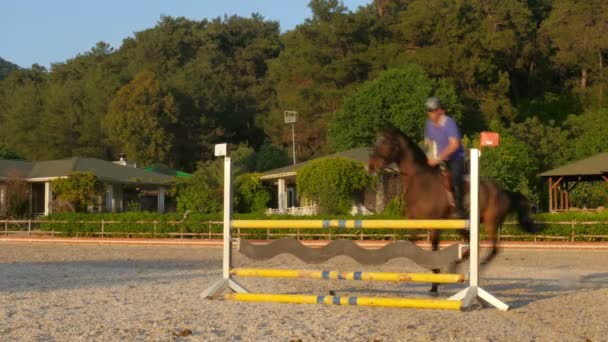 Caballo salto obstáculo — Vídeo de stock