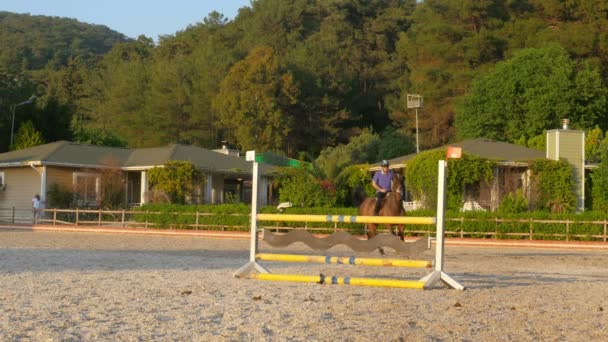 Caballo salto obstáculo — Vídeo de stock