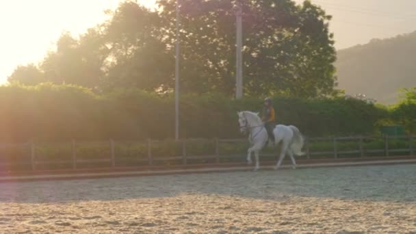 Rider meisje op paard show — Stockvideo