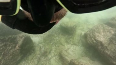 Phi phi Adası Yüzme adam