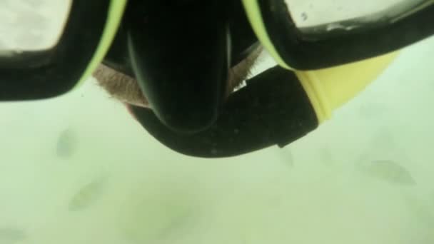 Человек плавает под водой — стоковое видео