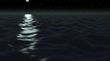 okyanus gece ay ışığı