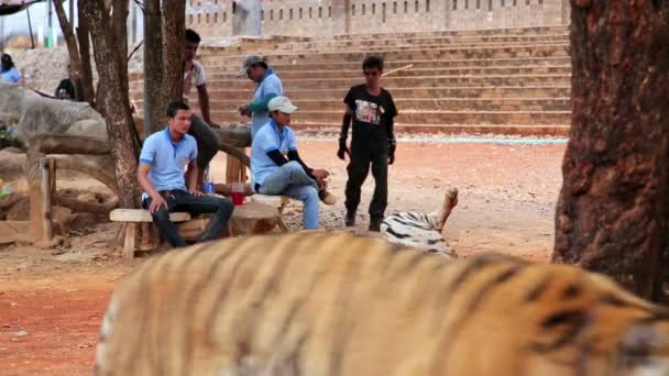 Gente en el templo del tigre — Vídeos de Stock