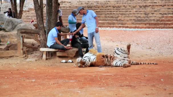 Люди на тигра храм — стокове відео