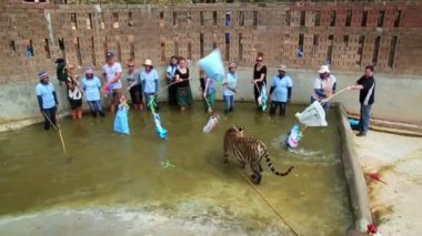 Kaplanlar ile oynayanlar