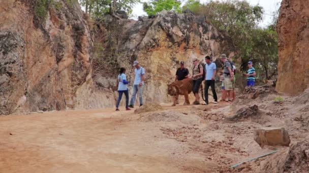 Människor på tiger temple — Stockvideo