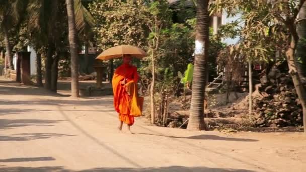 Buddhist monk walking on countryside — Stock Video