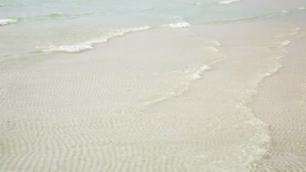 Agua cristalina en la playa — Vídeos de Stock