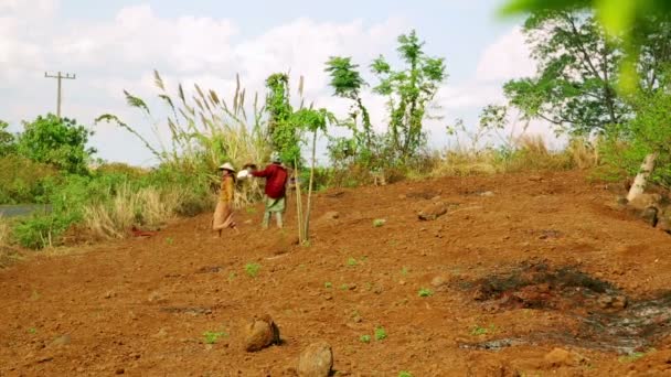 Agricultores de café trabalhando — Vídeo de Stock