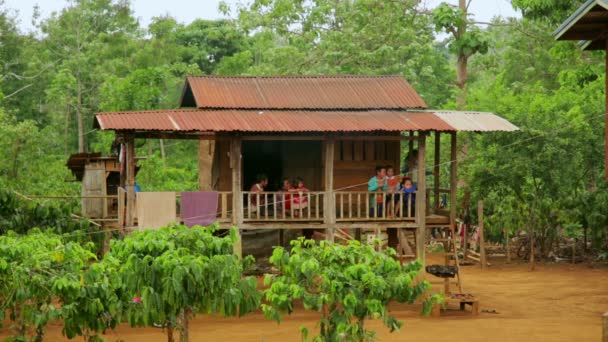 Café plantado vida aldeia — Vídeo de Stock