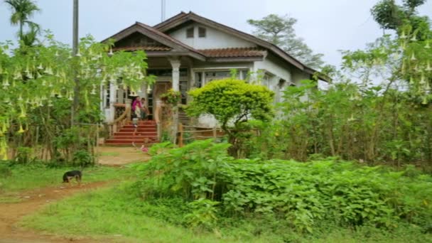 Lao dorpshuis met vol orchideeën bloemen — Stockvideo