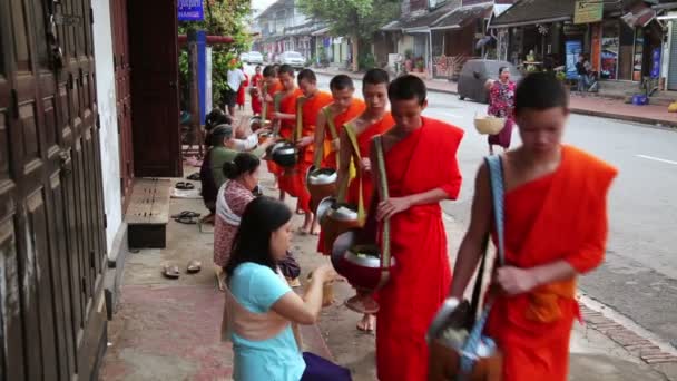 Monks's everyday morning religious ceremony — Stock Video