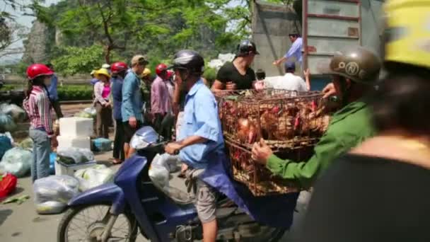 Μεταφέρουν αγορά με μοτοσικλέτα — Αρχείο Βίντεο