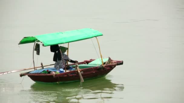 Vietnamese woman paddling boat — Stock Video
