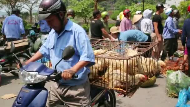 Mercado de transporte com moto — Vídeo de Stock